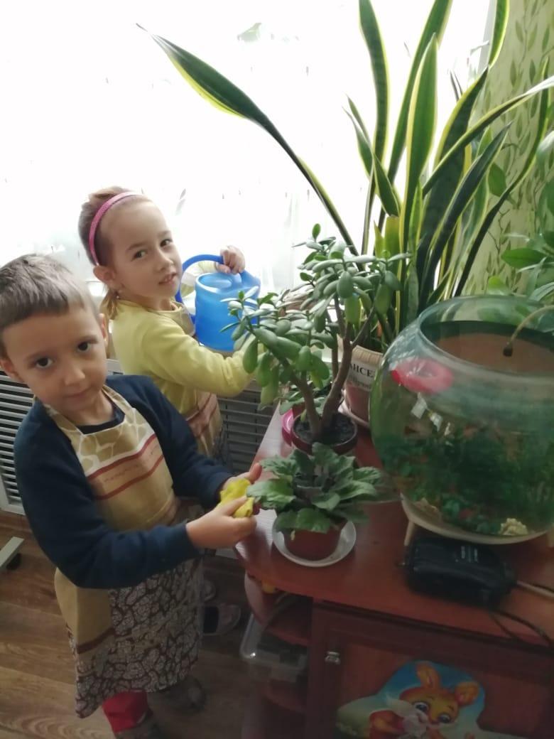 Дежурство и наблюдение в уголке природы